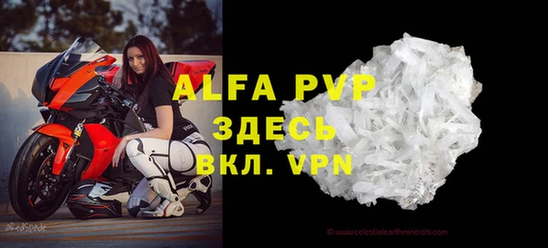 стаф Абинск