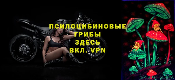 мяу мяу мука Алзамай
