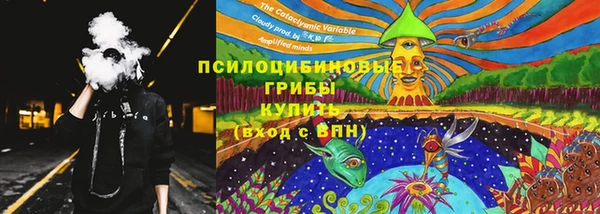 стаф Абинск